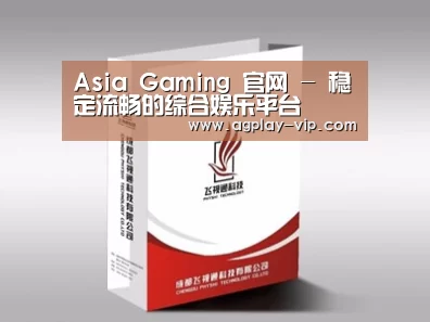 项目名称十三