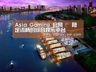案例展示八